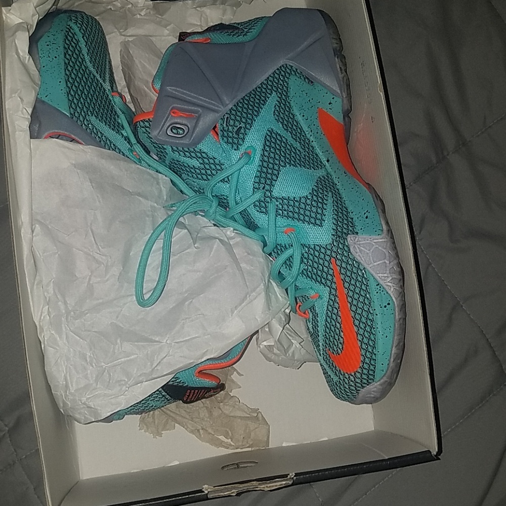 Lebron XII